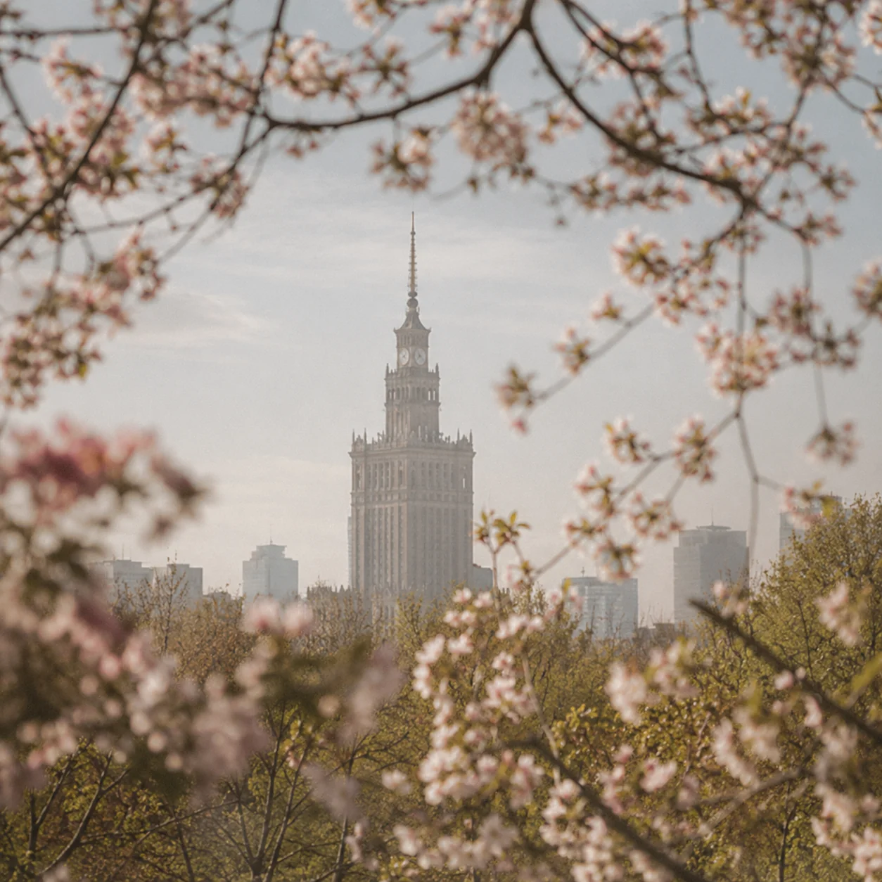 Warsaw mood — old stone